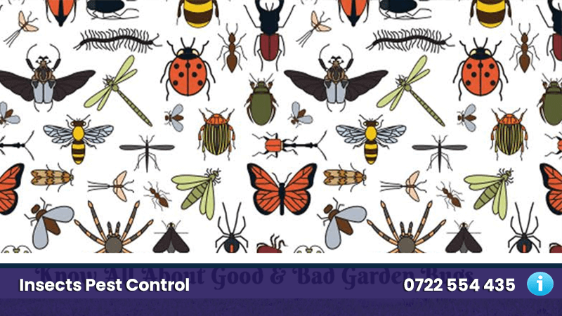 Methods Used for Pest Control of Insects