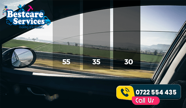 Pests That Inhabit Different Parts of Cars: Identification and Prevention