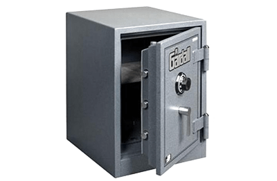 Pests That Inhabit Home Safes and How to Remove Them