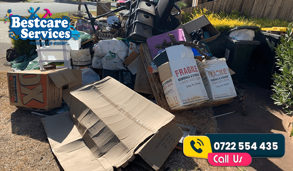 Pests That Inhabit Rubbish and How Rubbish Removal Services Can Help