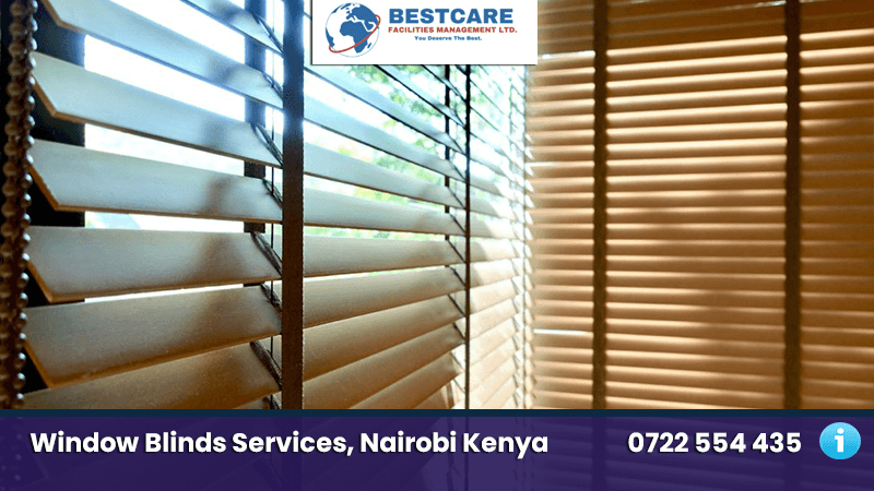 Pests That Inhabit Window Blinds: An Overview