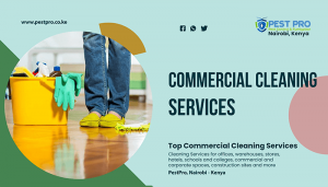 commercial cleaning services nairobi kenya schools hospitals church offices home house domestic sanitization