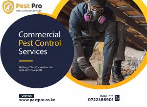 commercial pest control and fumigation services nairobi Kenya
