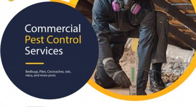 commercial pest control and fumigation services nairobi Kenya
