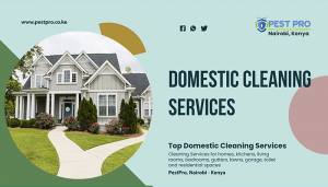 commercial cleaning services nairobi kenya schools hospitals church offices home house domestic sanitization cleaning company carpet kitchen gutter bathroom oven