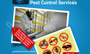 pest control and fumigation services nairobi kenya