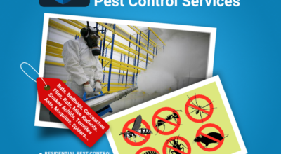 pest control and fumigation services nairobi kenya