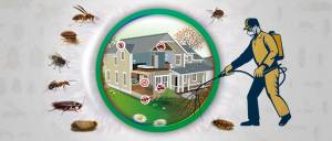 pest control services cleaning fumigation services in Nairobi Kenya