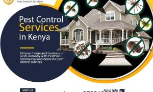 pest control services fumigation kenya