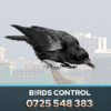 BIRDS CONTROL CROWS CONTROL EAGLES PEST CONTROL NAIROBI KENYA