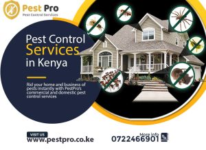 fast pest control services fumigation kenya