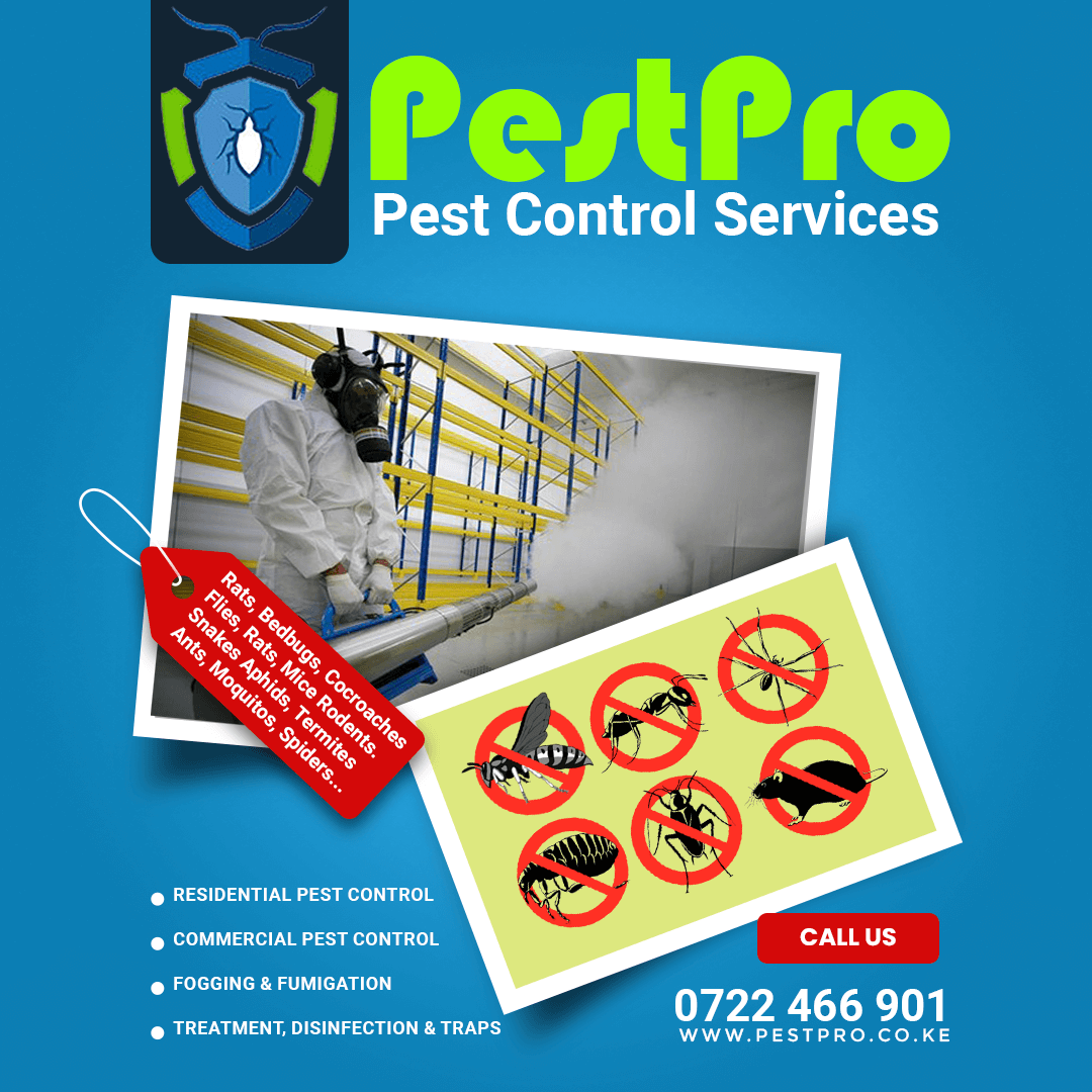 pest control in nairobi fumigation services in kenya pest control company