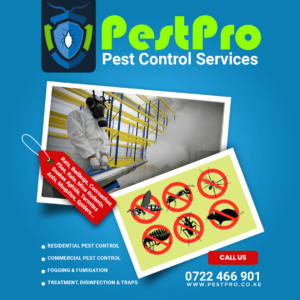 pest control in nairobi-pest control and fumigation services company in kenya fogging